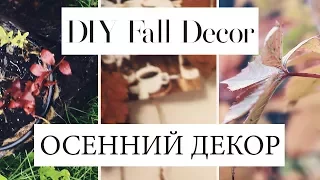 DIY ОСЕННИЙ Декор КОМНАТЫ / DIY Fall Decor