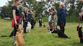 Kynologicky klub SMILE of DOG - Nové Mesto nad Váhom