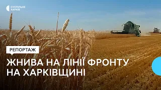 Жнива на лінії фронту на Харківщині: Лозівщина збирає врожай