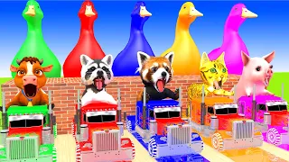 5 Giant Duck, Monkey, Piglet, chicken, cow, Sheep, H2H Animals 3D, Transfiguration funny animal 2023