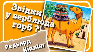 ЗВІДКИ У ВЕРБЛЮДА ГОРБ? (Редьярд Кіплінг) - #АУДІОКАЗКА українською мовою