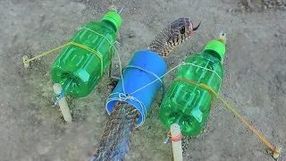 Easy Snake Trap   Creative DIY Snake Trap Using Blue Pipe PVC & Water Bottle That Work100%#snaketrap