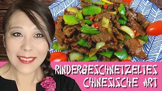 Rindergeschnetzeltes - chinesische Art, beef strips with vegetables - chinese style, 青椒洋葱牛肉