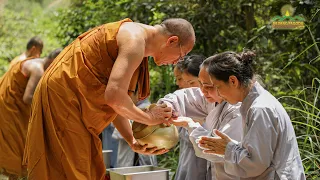 Forest almsgiving to Monks to pray for the country's peace and prosperity