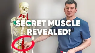 The most important muscle. It was discovered by USSR scientists and hidden for 120 years