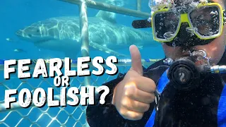 Great White Shark Cage Diving in Australia | Calypso Star Charters | Port Lincoln, South Aus