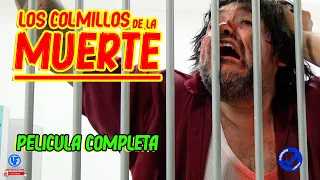 " Los Colmillos de la Muerte: La Suerte del Rey"  Película Mexicana