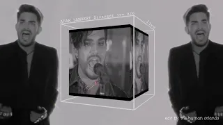 Adam Lambert | Stranger you are (live) fan edit