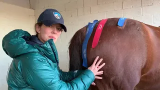 How to Properly Remove Equi-Tape