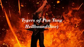 Tygers of Pan Tang - Hellbound cover