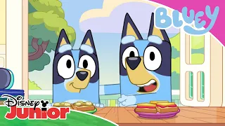 💙 Bluey och mini-Bluey | Disney Junior Sverige