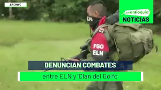 Denuncian combates entre ELN y 'Clan del Golfo' - Teleantioquia Noticias