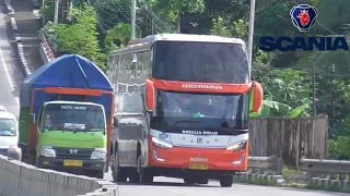 😱 AKSI MENEGANGKAN‼️BUS TRONTON SCANIA UGAL UGALAN || BALAPAN BUS VS TRUK ✅✅✅