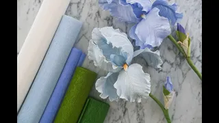 Iris Barbada Tutorial Demonstrativo parte1 - Bearded Iris Tutorial part 1