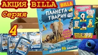 Обзор акции BILLA. 📔 Книга-альбом - Планета животных, серия 4 (Не Льорки)