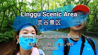 🌏344🌏 [Linggu Scenic Area] [灵谷景区]