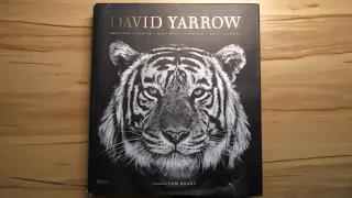 📷 LIV(R)E - David Yarrow