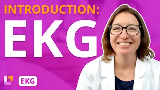 EKG Introduction: EKG Interpretation for Nursing Students - @Level Up RN