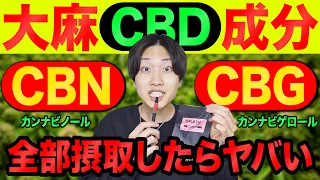 人生初の「CBN・CBG」を吸ってみたらヤバい事になった【CBD】【タバコ】