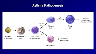 Asthma and COPD - Pathogenesis and Pathophysiology
