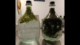 A Simple Grappa recipe