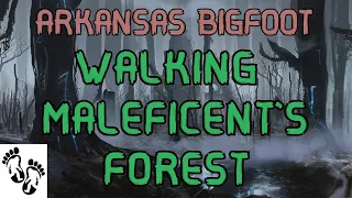 Arkansas Bigfoot: Walking MALEFICENT'S Forest