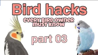 Bird HACKS every bird owner must know #03 | Bird life hacks |