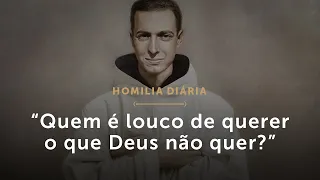 Homilia Diária | Segunda-feira 4.ª Semana da Páscoa – “Quem é louco de querer o que Deus não quer?”