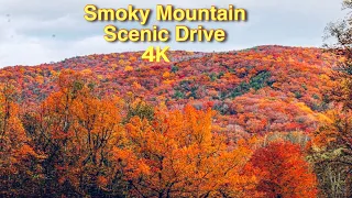 Great Smoky Mountains  4K Scenic Drive 2021-Fall Colors/ Clingmans Dome