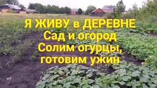 ЖИВУ в ДЕРЕВНЕ на пенсии. Сад и огород. Дела домашние: Солим огурцы, готовим ужин