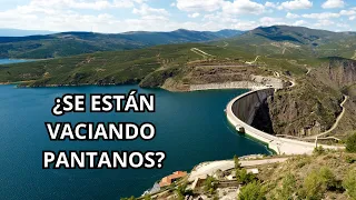 La estupidez de los pantanos