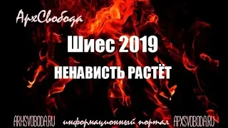 Шиес 2019. Ненависть растёт!!!