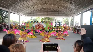 CHAMPION | Brgy. LAWA | SINULOG FESTIVAL 2024