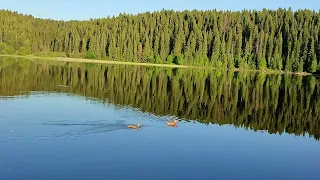 Все зависит от бога и немного от нас