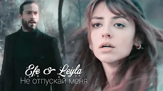 Efe & Leyla | Не отпускай меня