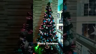Christmas WhatsApp Status Video 😍