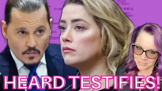 Lawyer Reacts | Amber Heard Takes The Stand | Johnny Depp v. Amber Heard Trial Day 14