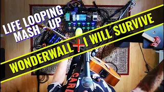 Carl Wockner - I WILL SURVIVE WONDERWALL (Live Looping Mashup)