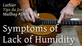 Luthier Tips du Jour Mailbag 176 - Symptoms of Lack of Humidity