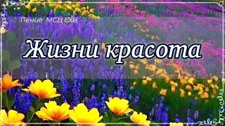 Жизни красота – в отдаче Богу