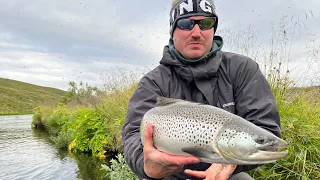 Brown Trout Fishing in Iceland 2023 edition pt. 2