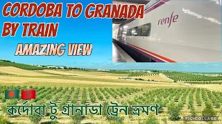 Cordoba to Granada|Renfe Regional Express Train|কর্দোবা টু গ্রানাডা।Spain