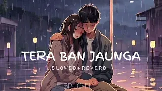 Tera Ban Jaunga [ Slow + reverb ] | Kabir Singh