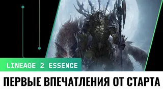 Впечатления от первых часов после старта новых серверов Lineage 2 Essence