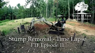 Clearing House Sites - Stump Removal - Time Lapse