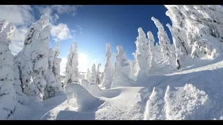 Merry Christmas from Vancouver Island. 2019 Christmas Day. Mt. Washington, Vancouver Island