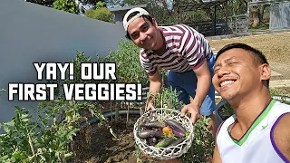 We're Officially Farmers (Our First Harvest) | Vlog #1724