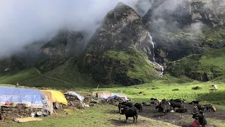 Himalayan shepherd Daily Routine Life || Nepal ||Very Relaxing Rainy Season Life Of Shepherds.