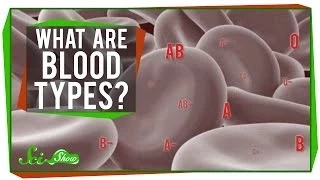 What are Blood Types?