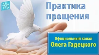 Практика прощения. Олег Гадецкий